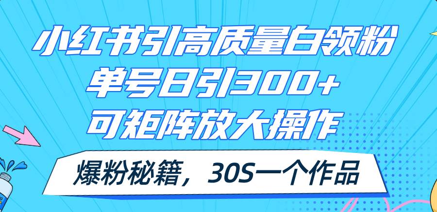 小红书引高质量白领粉，单号日引300+，可放大操作，爆粉秘籍！30s一个作品-91搞钱