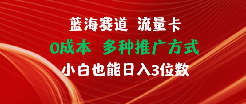 蓝海赛道 流量卡 0成本 小白也能日入三位数-91搞钱