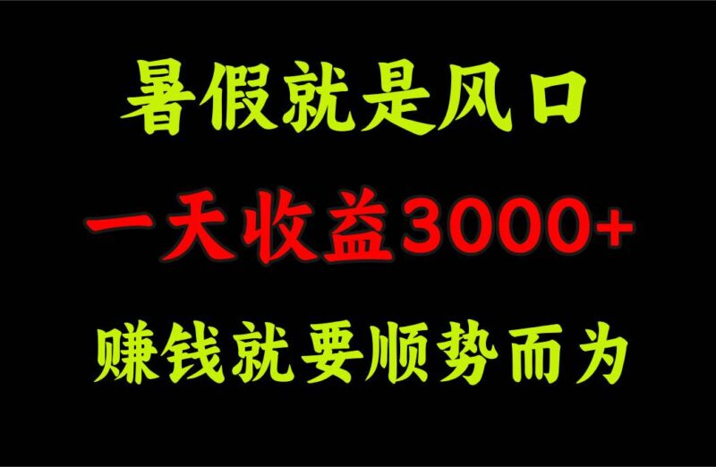 一天收益3000+ 赚钱就是顺势而为，暑假就是风口-91搞钱