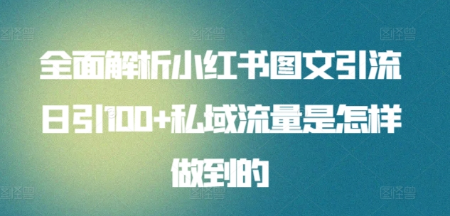 全面解析小红书图文引流日引100私域流量是怎样做到的-91搞钱