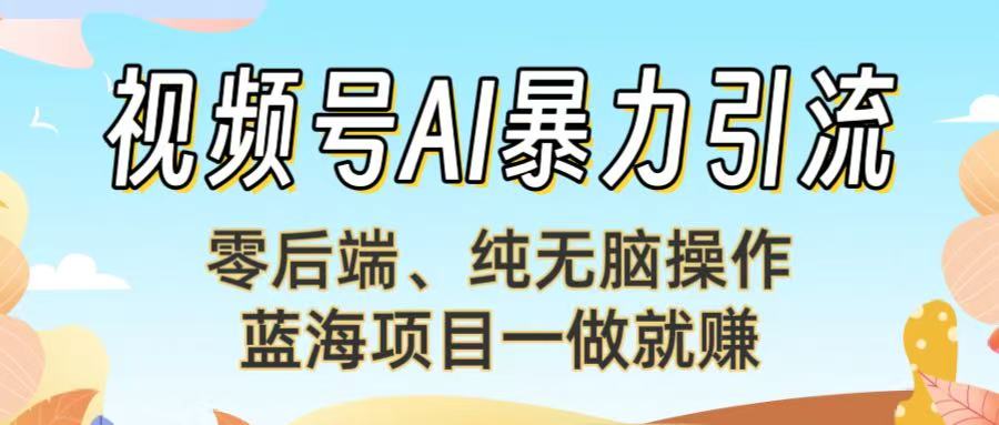 视频号AI暴力引流：零后端、纯无脑操作，蓝海项目一做就赚！【下面那个链接失效了】-91搞钱