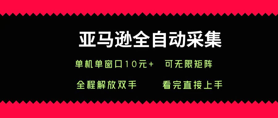 亚马逊全自动采集，单机单窗口一天10+，可无限矩阵去做-91搞钱