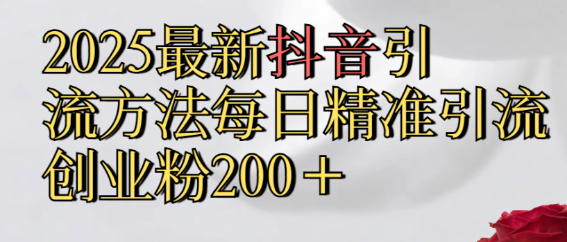 2025最新抖音引流,方法每日精准引流创业粉300+-91搞钱