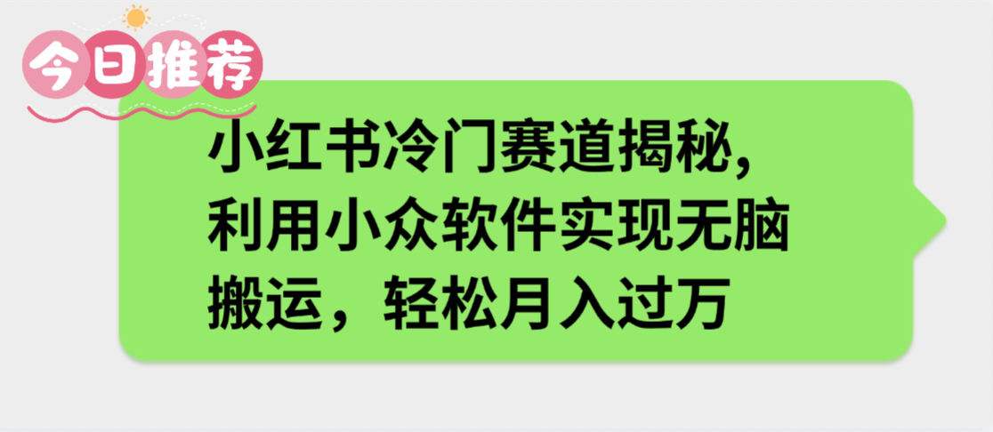 小红书冷门赛道揭秘,利用小众软件实现无脑搬运,轻松月入过万-91搞钱