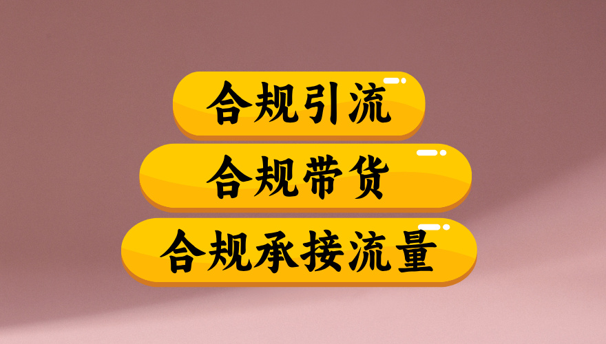 合规引流、合规并且高效地做带货、合规承接流量(揭秘)-91搞钱